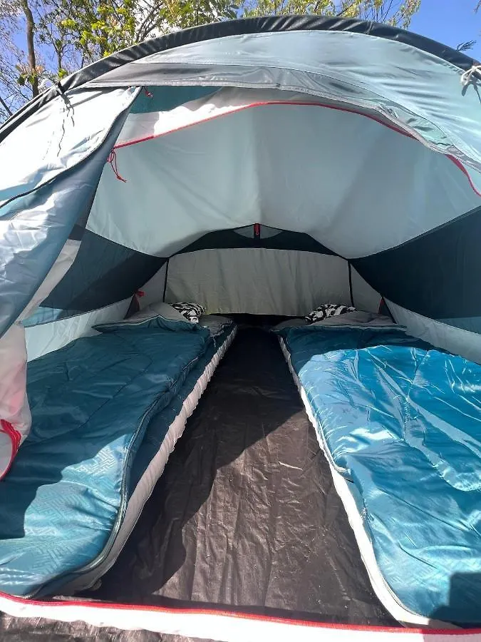 The Esn Kingsday Campsite Amsterdam