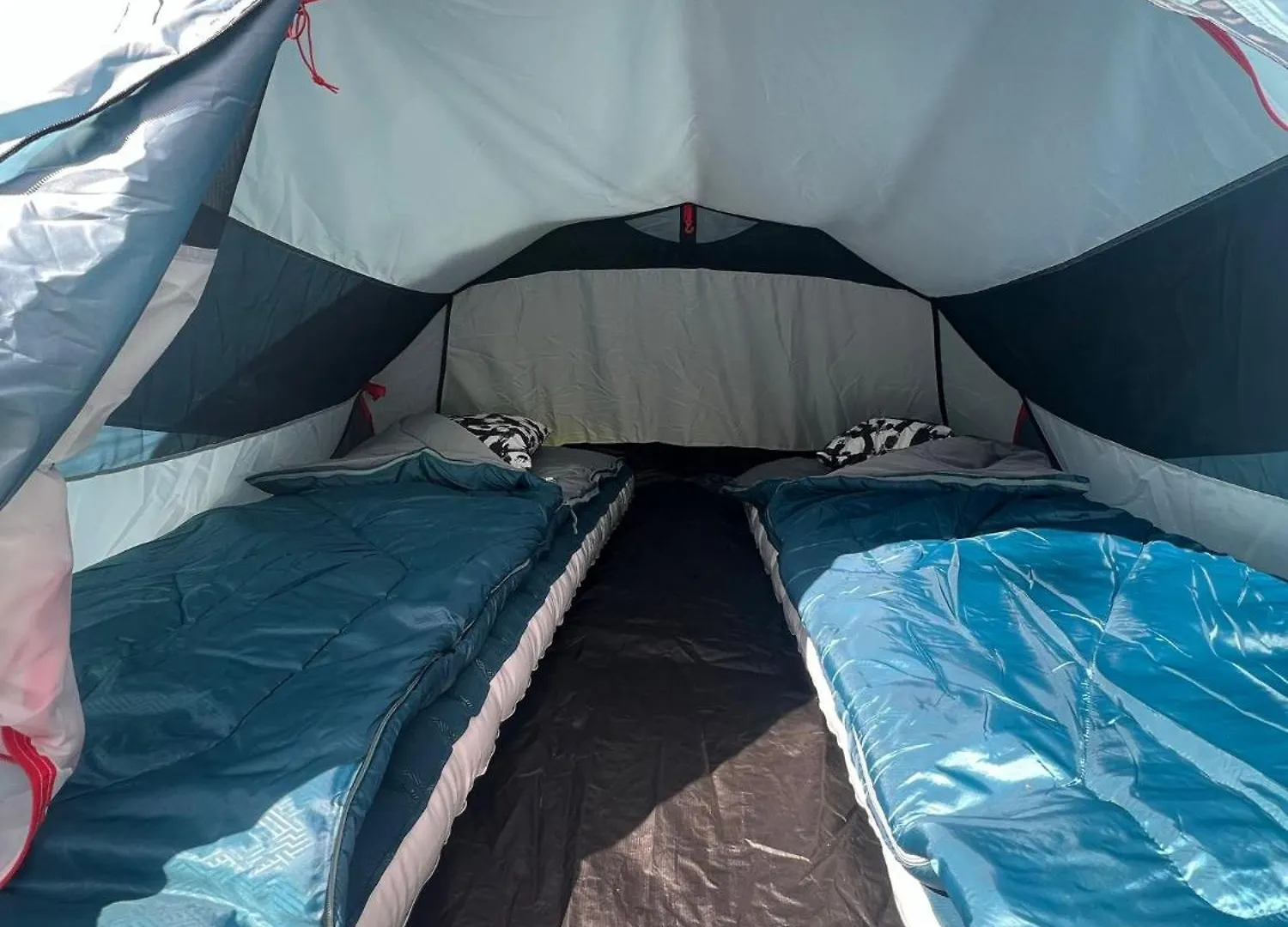 The Esn Kingsday Campsite Amsterdam Netherlands
