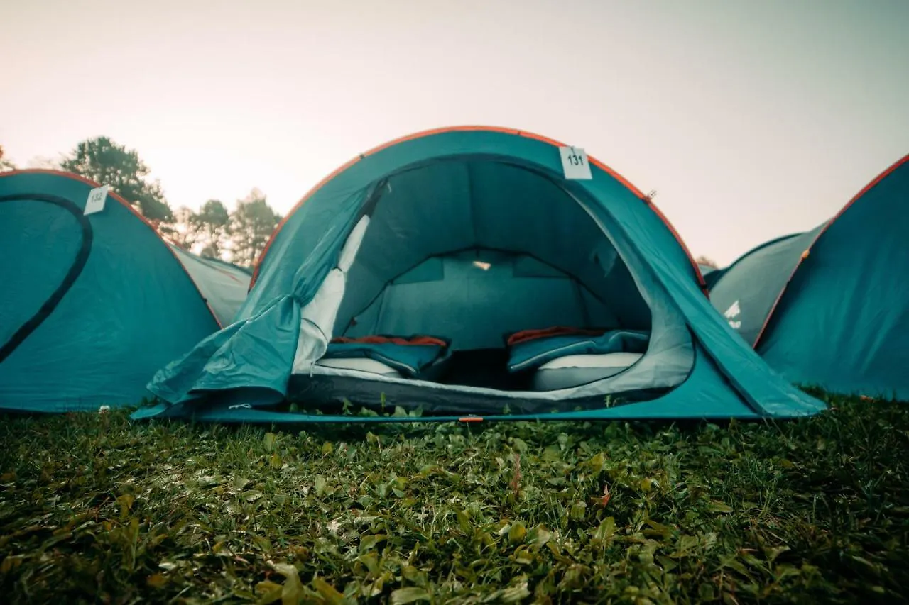 The Esn Kingsday Campsite Amsterdam