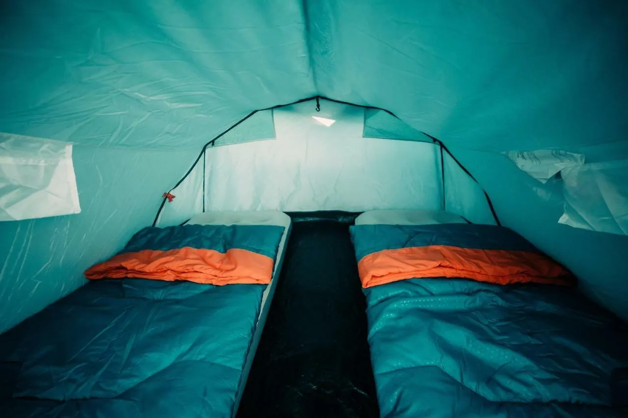 The Esn Kingsday Campsite Amsterdam Netherlands